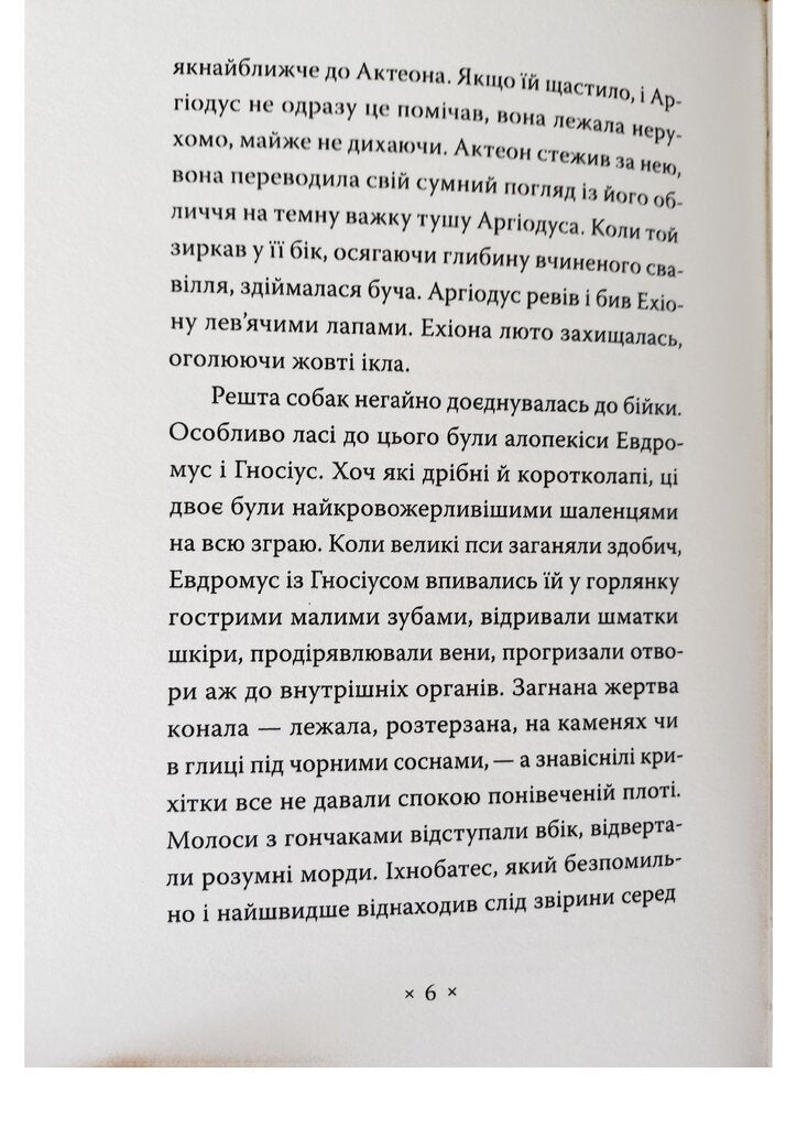 Книга Катананхе Софія Андрухович