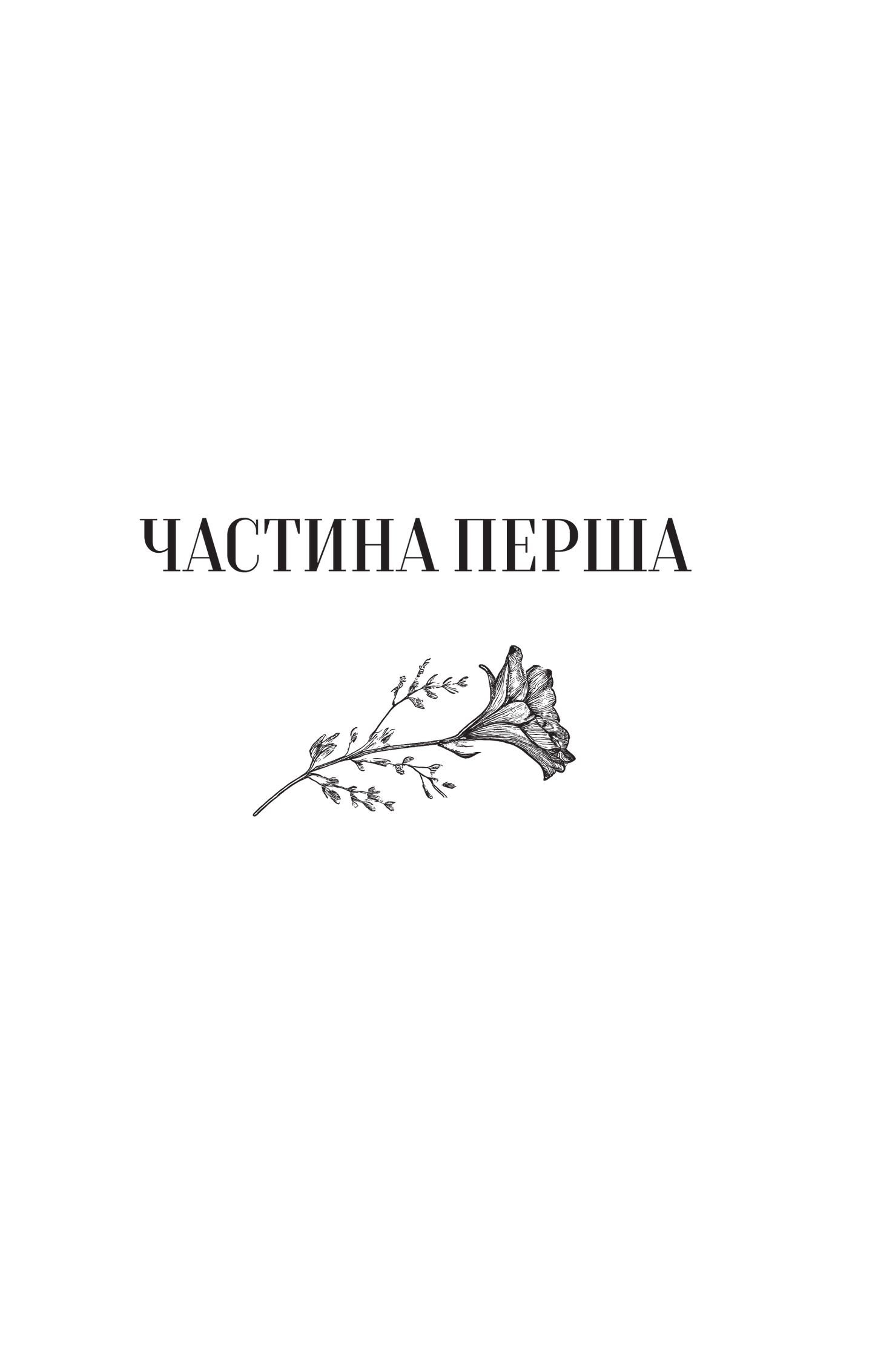 Книга Те, що видно звідси — Маріана Лекі