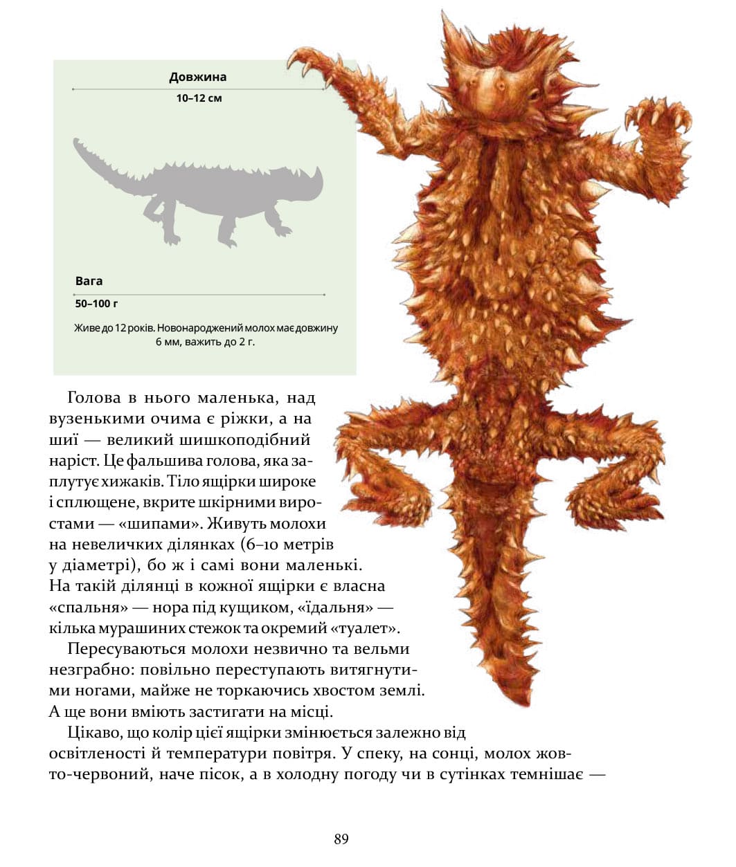 Книга Експедиція за дивовижними тваринами Олена Шкаврон, Наталія Шейн