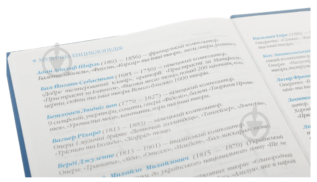 Щоденник шкільний для музичної школи B5 48 аркушів ZiBi