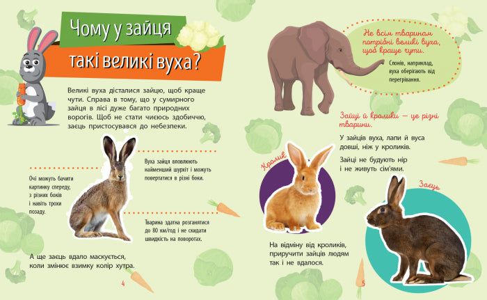 Книга Чомусики : Тварини (у)Булгакова