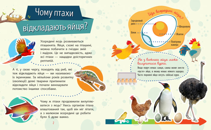 Книга Чомусики : Тварини (у)Булгакова