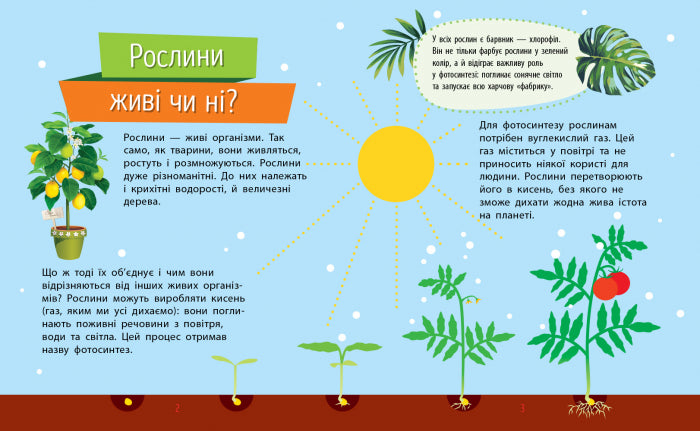 Книга Чомусики : Рослини (у)Булгакова