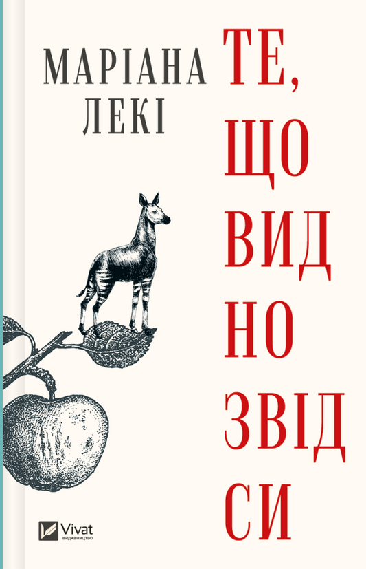 Книга Те, що видно звідси — Маріана Лекі
