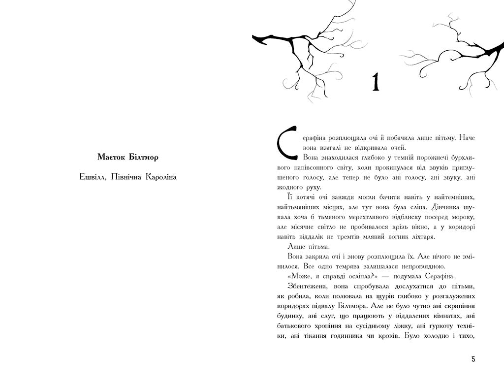 Книга Серафіна : Серафіна і розколоте серце. кн.3 (у)Роберт Бітті