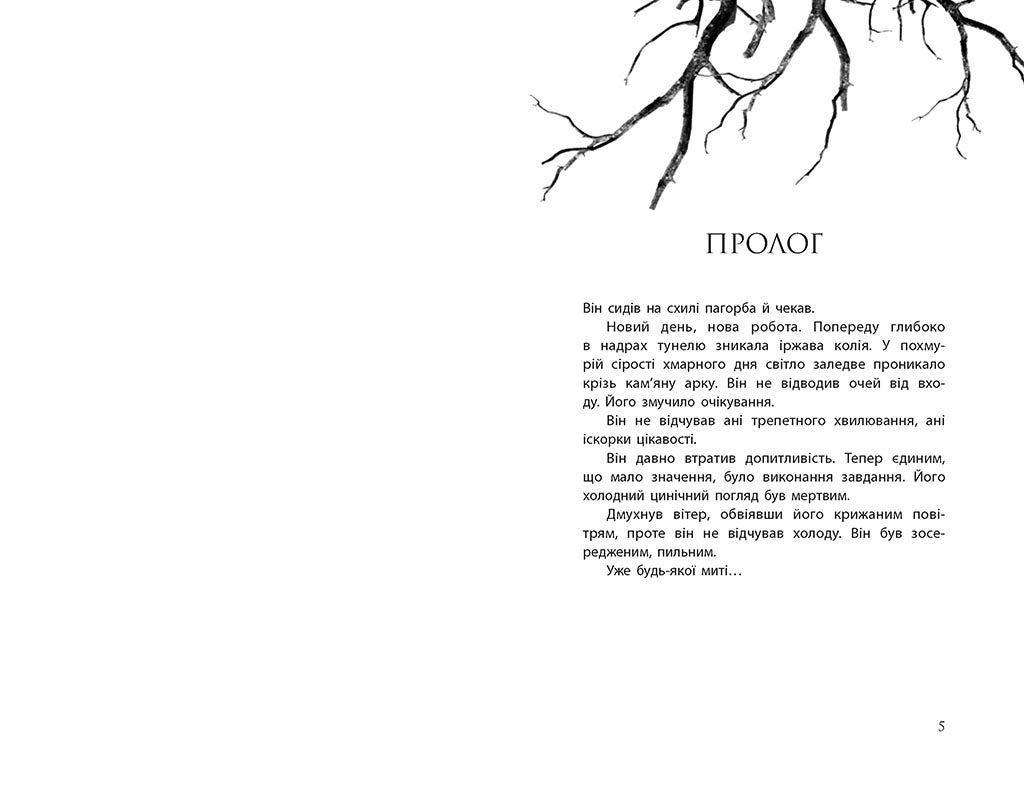 Книга Провідник : Провідник (у)Клер Мак-Фолл