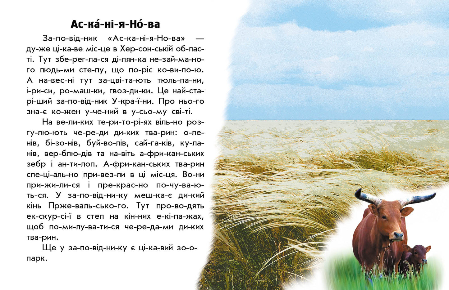 Книга Читаю про Україну : Парки та заповідники (у)Каспарова Юлія Вадимівна
