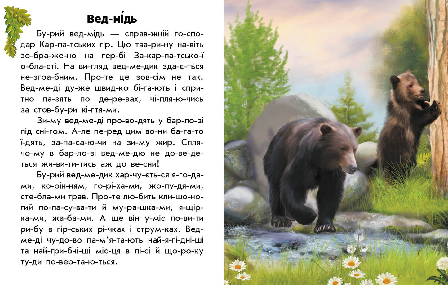 Книга Читаю про Україну : Тварини гір (у)Каспарова Юлія Вадимівна
