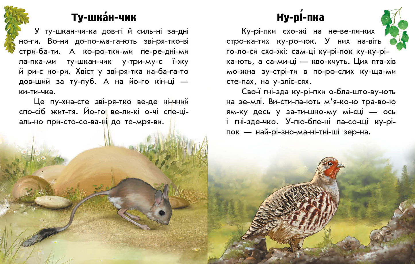 Книга Читаю про Україну : Тварини степів (у)Каспарова Юлія Вадимівна