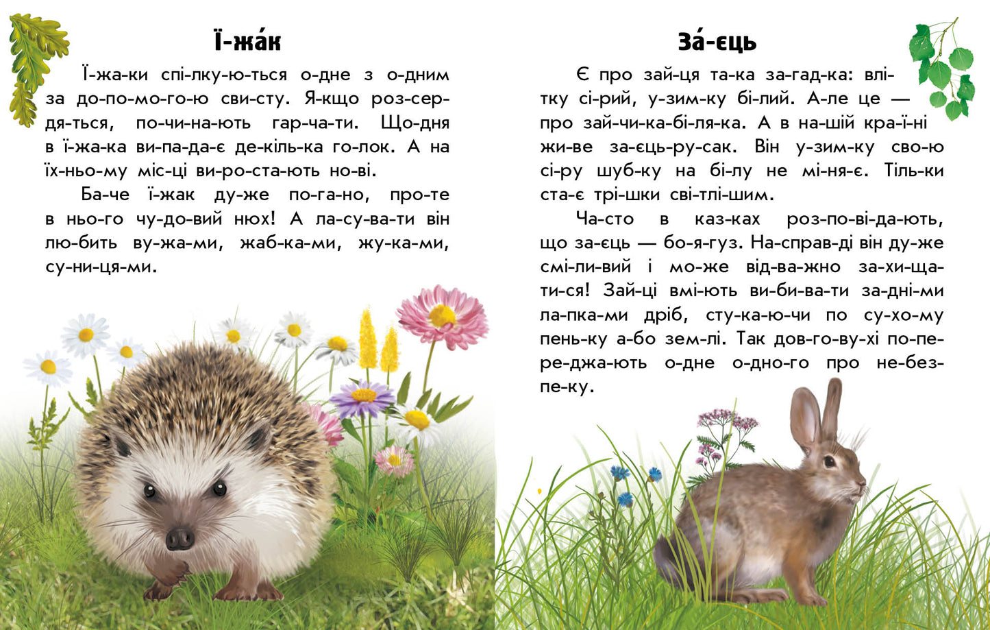 Книга Читаю про Україну : Тварини лісів (у)Каспарова Юлія Вадимівна
