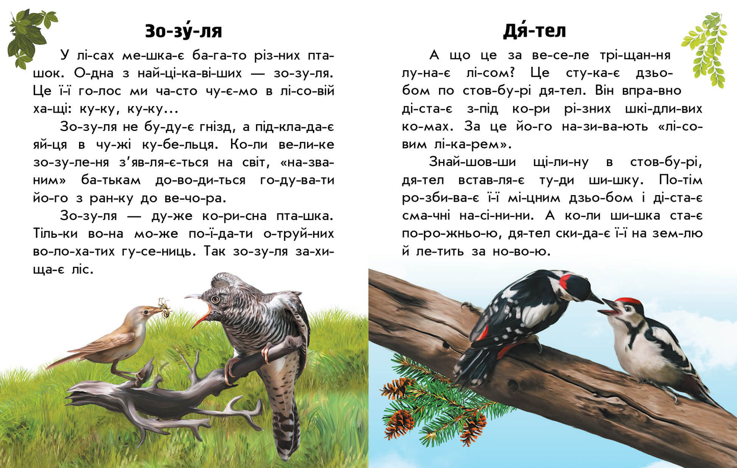 Книга Читаю про Україну : Тварини лісів (у)Каспарова Юлія Вадимівна