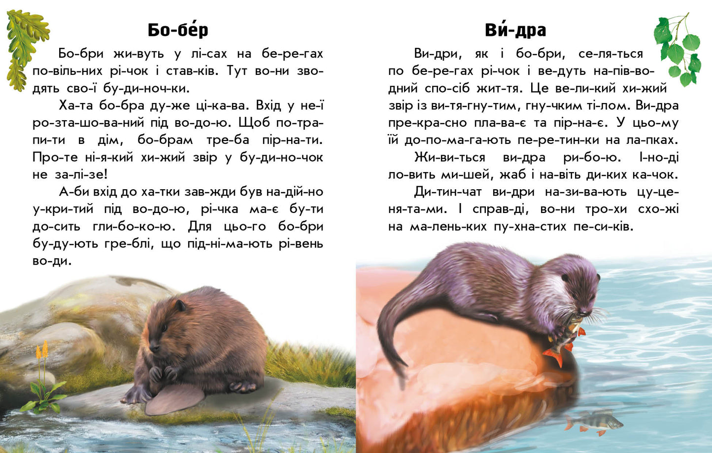 Книга Читаю про Україну : Тварини річок та морів (у)Каспарова Юлія Вадимівна