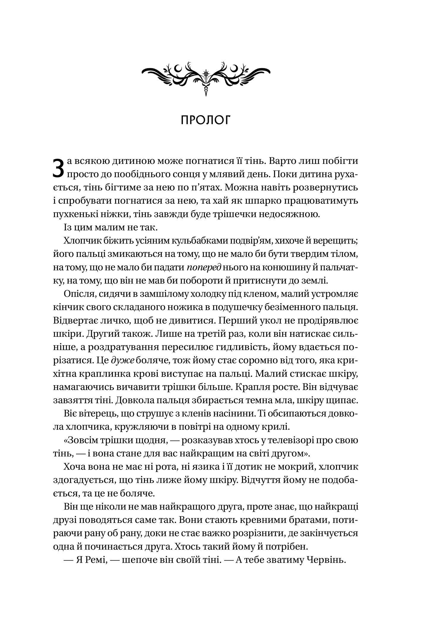 Книга Книга ночі (з кольоровим зрізом) — Голлі Блек
