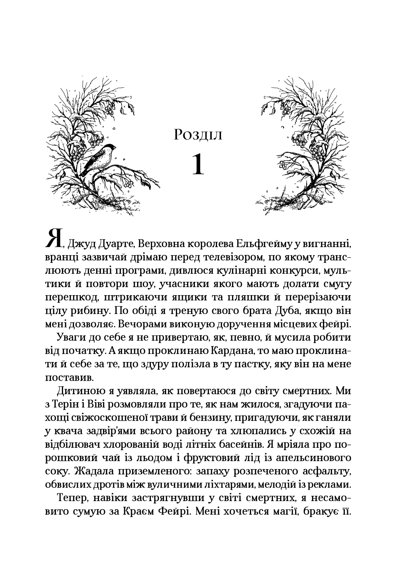 Книга Королева порожнечі — Голлі Блек
