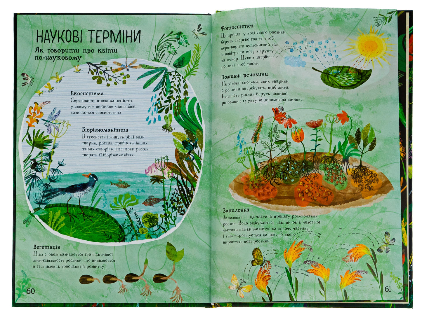 Книга Велика книга квітів Юваль Зоммер