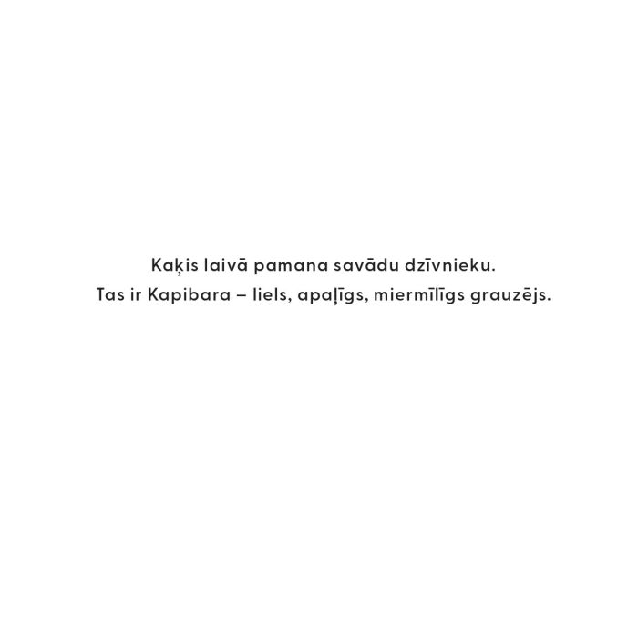 KRĀSOJAMĀ GRĀMATA STRAUME