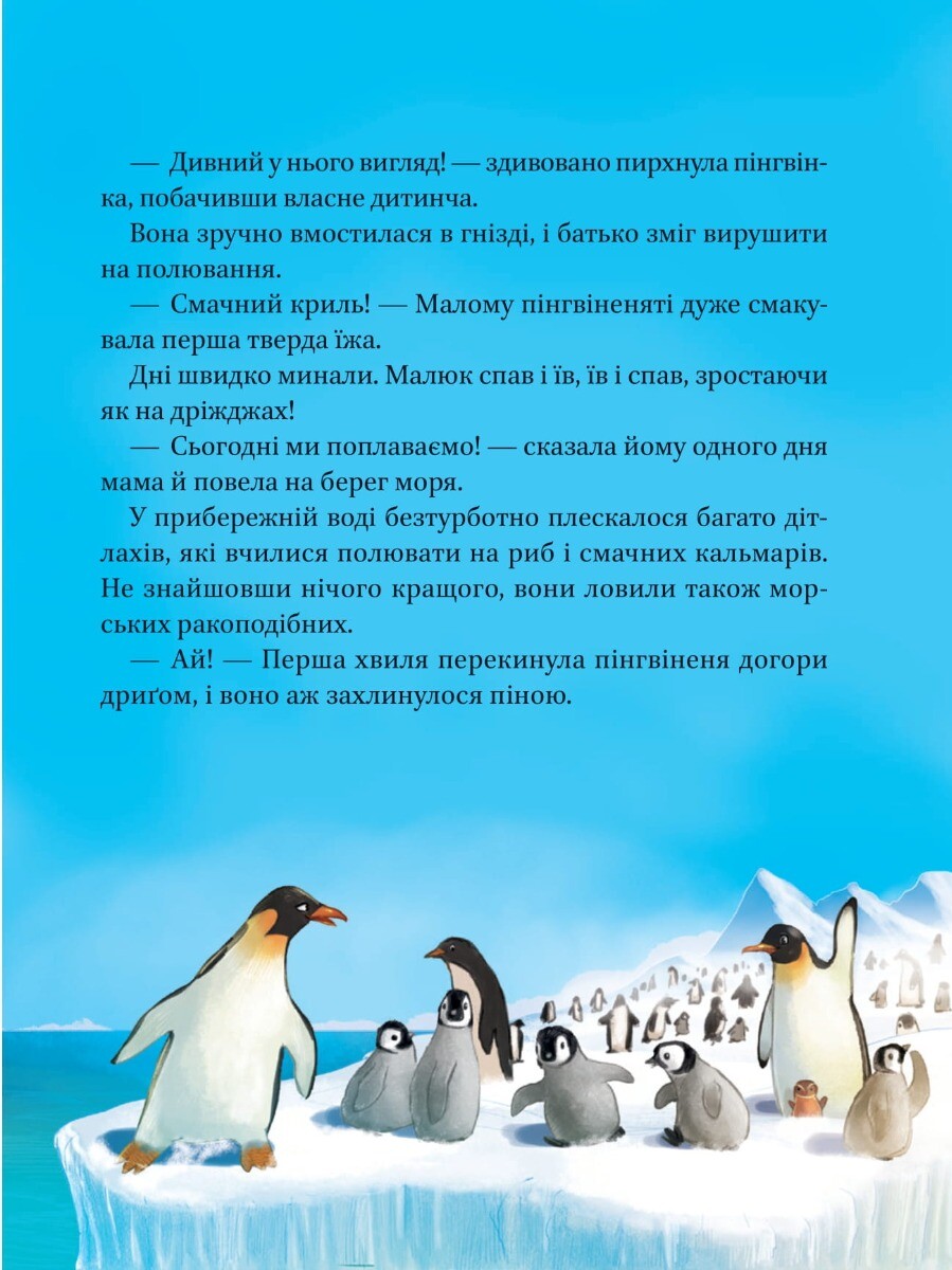 Книга Малюки-рятівники. Подорож до океану — Аґнешка Ножинська-Дем'янюк