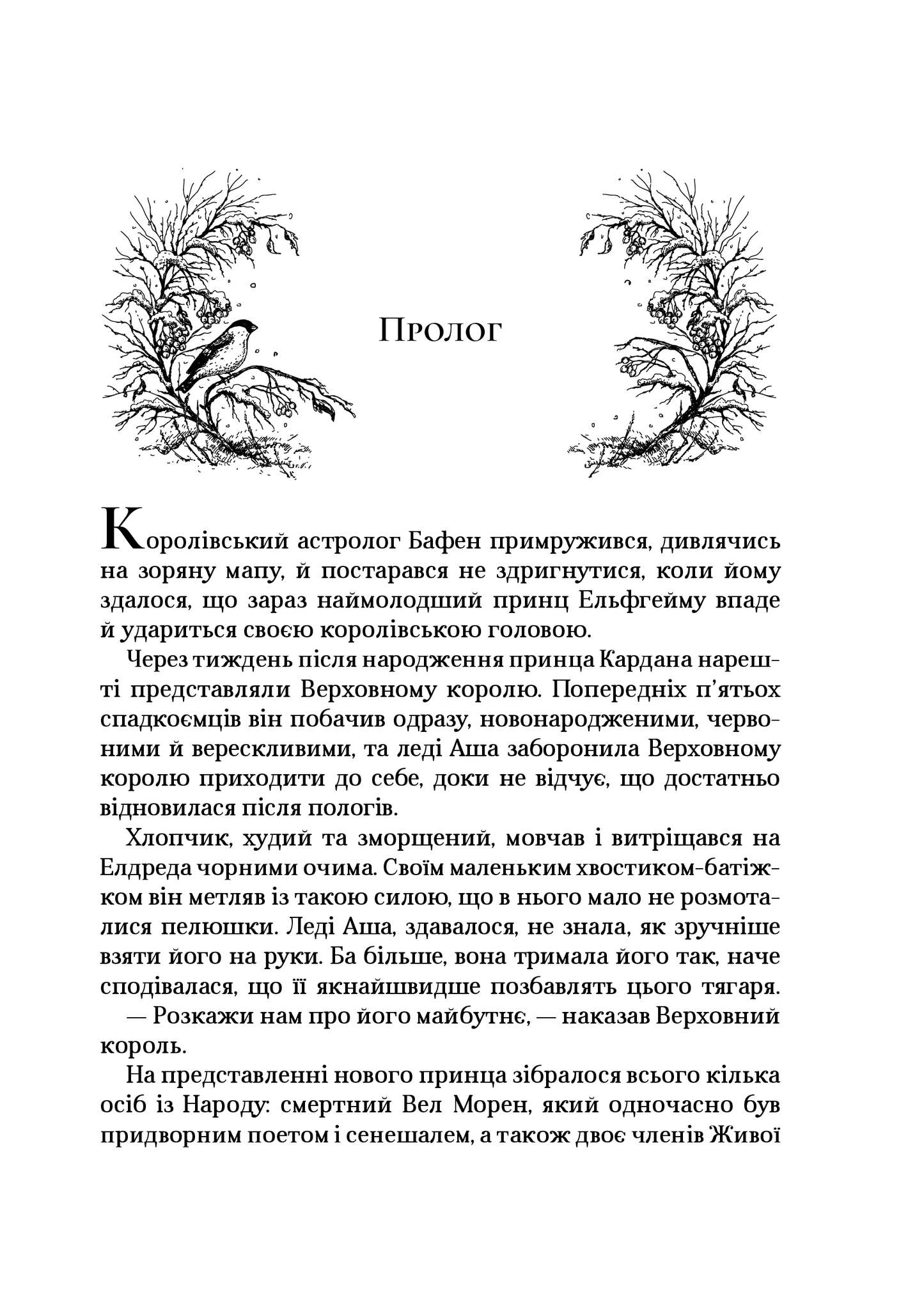 Книга Королева порожнечі — Голлі Блек