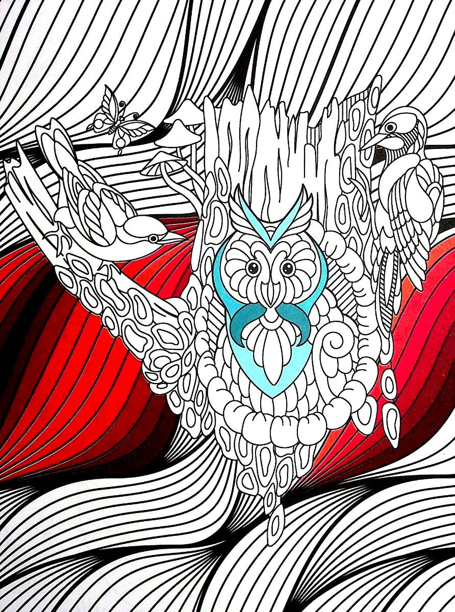Книга COLOR ZEN. Чарівна країна —