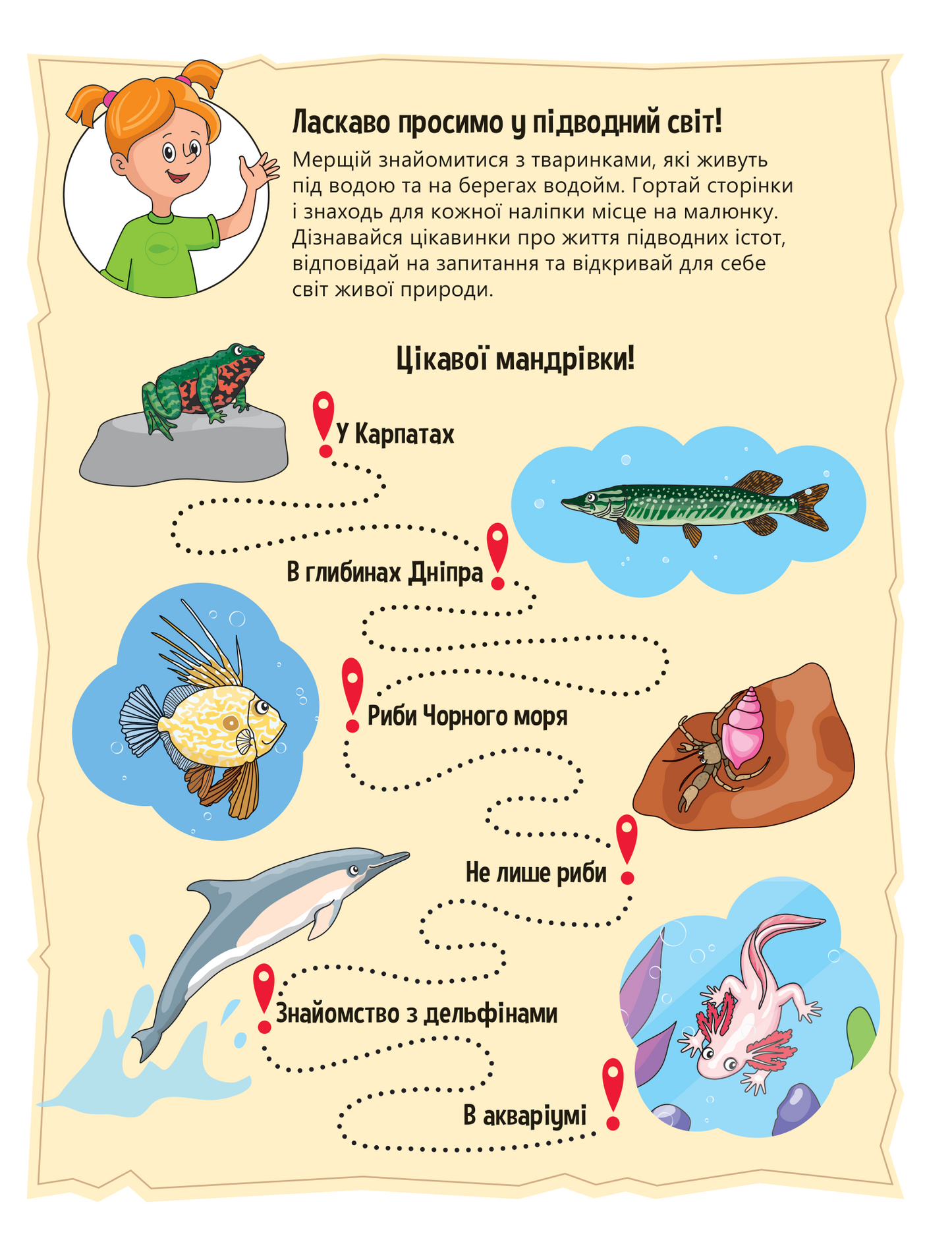 Книга Тваринки під водою — Ольга Шевченко