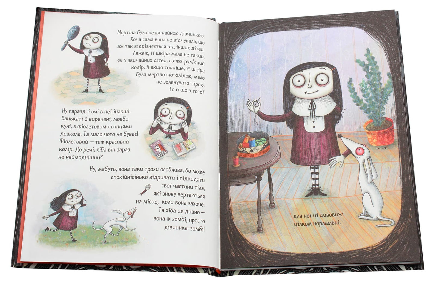 Книга Мортіна (комплект із 5 книг) Барбара Кантіні