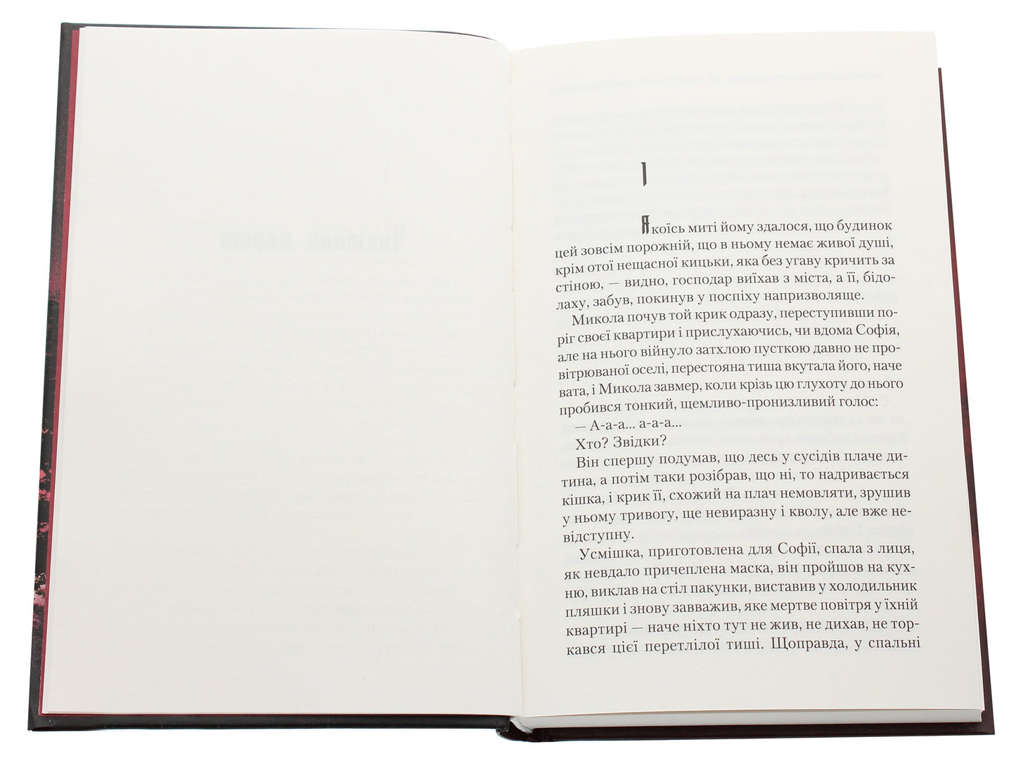 The book The Song of the God Bird by Vasyl Shklyar