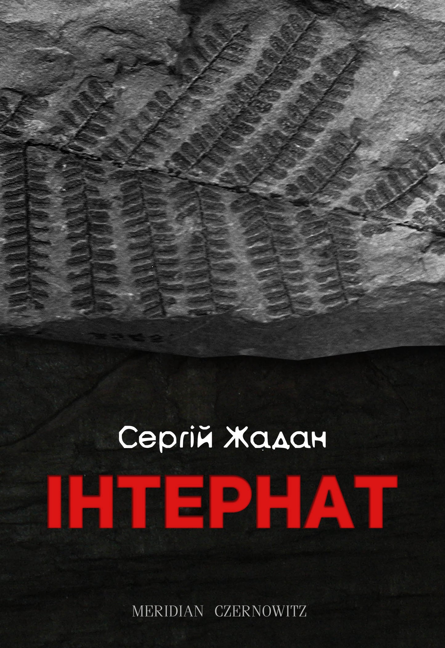 Книга Інтернат Сергій Жадан