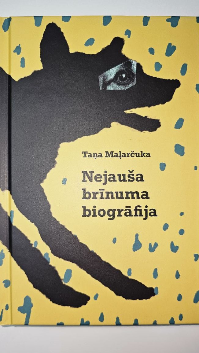 Nejauša brīnuma biogrāfija / Біографія випадкового чуда LAT