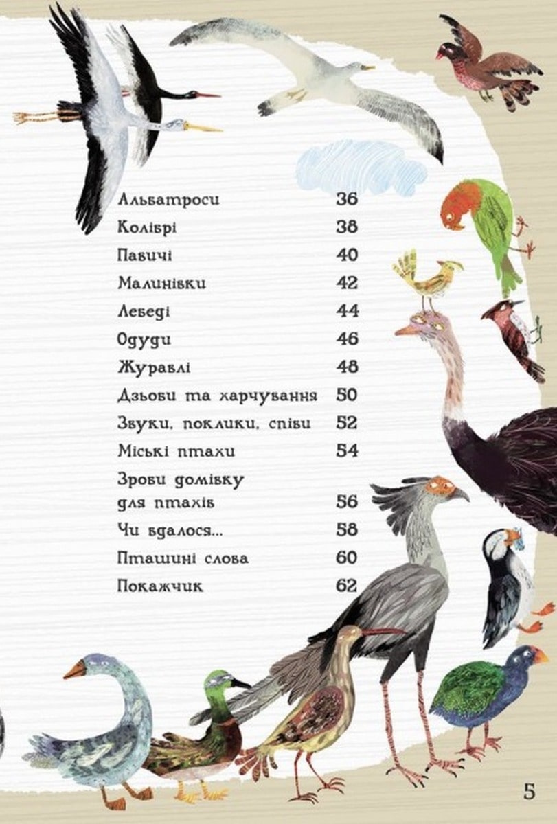 The Big Book of Birds by Yuval Sommer