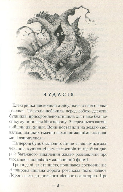 Книга Бухтик з тихого затону Володимир Рутківський