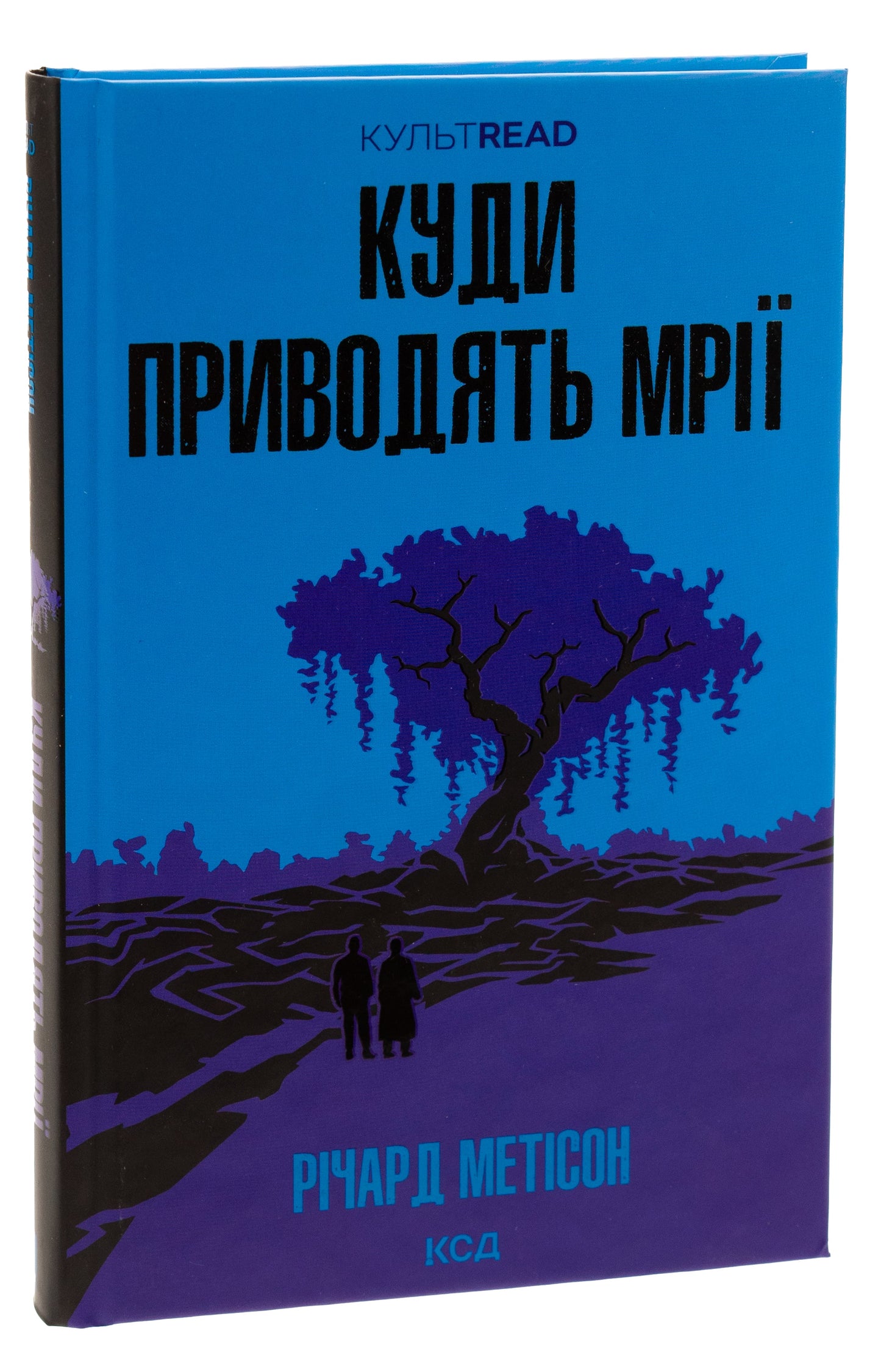 Книга Куди приводять мрії Річард Метісон