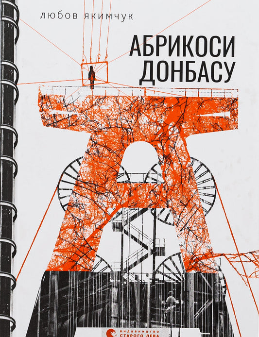 Книга Абрикоси Донбасу Любов Якимчук