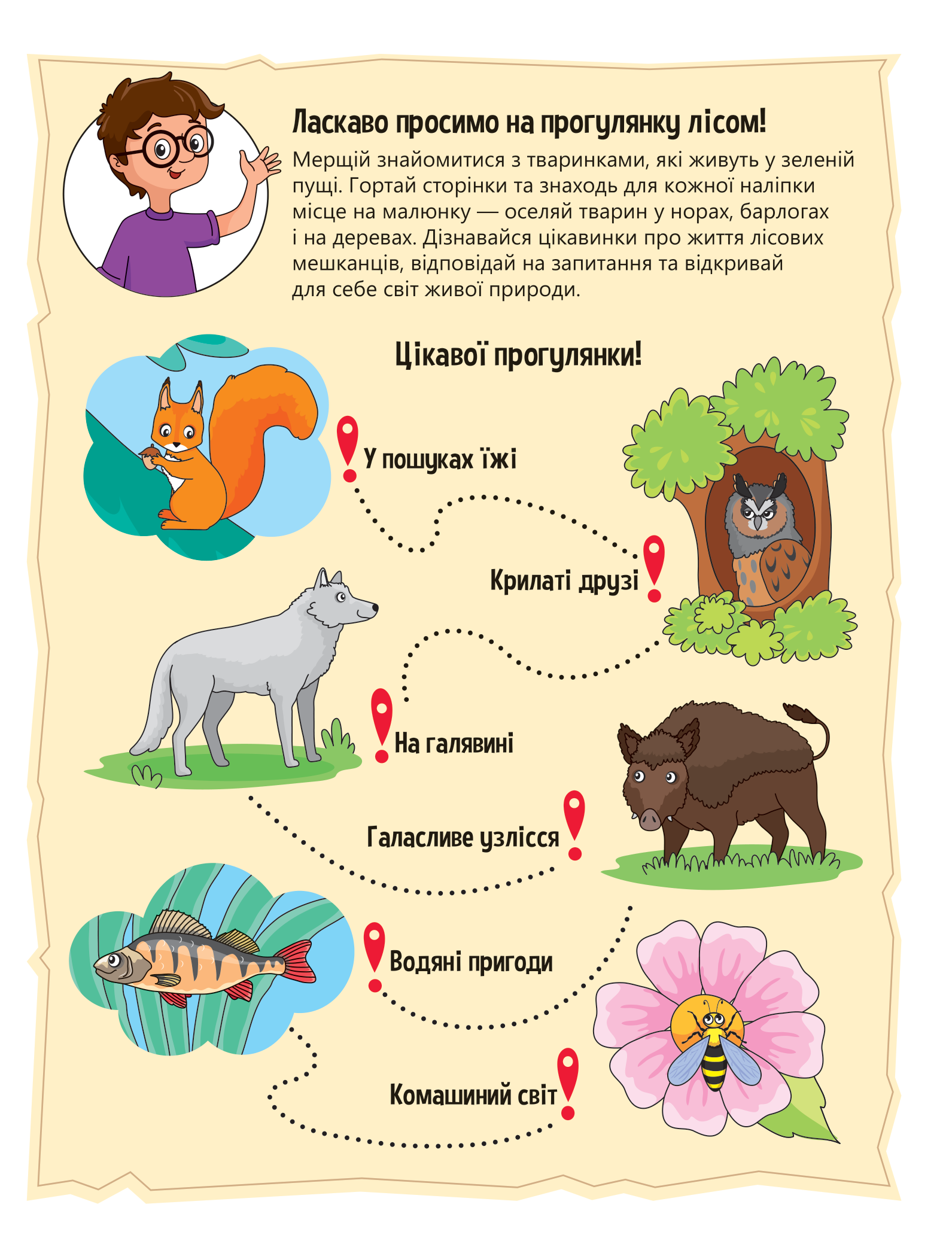 Книга Тваринки у лісі — Ольга Шевченко