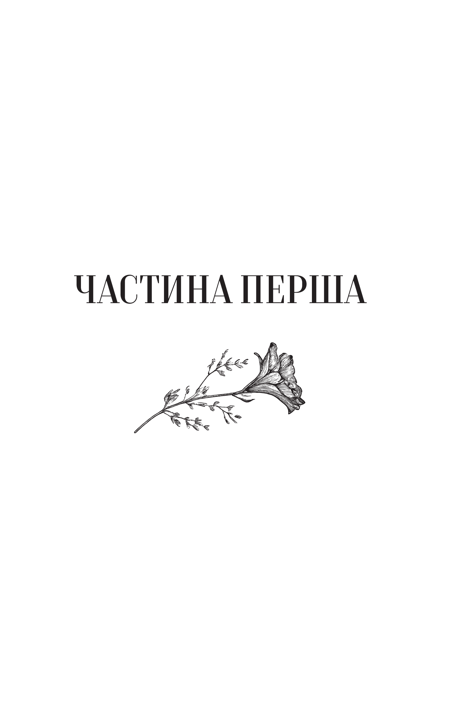 Книга Те, що видно звідси — Маріана Лекі