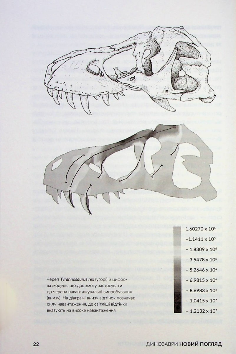 The book Dinosaurs: A New Look by Michael J. Benton