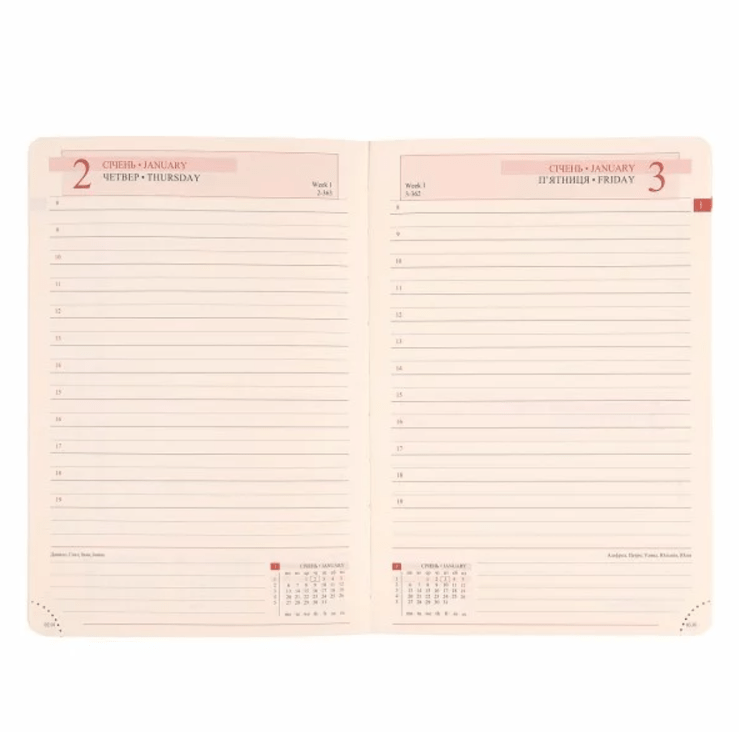 "Leo Planner" diary dated 2025