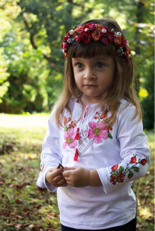 Embroidered shirt for girls Shipshina with long sleeves