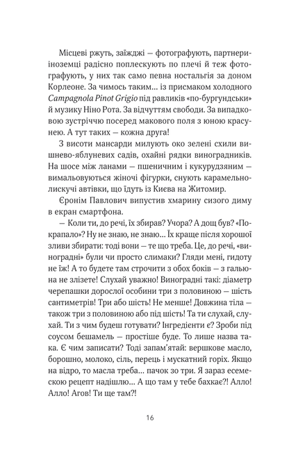 Книга ТРОє і одна — Ірен Роздобудько