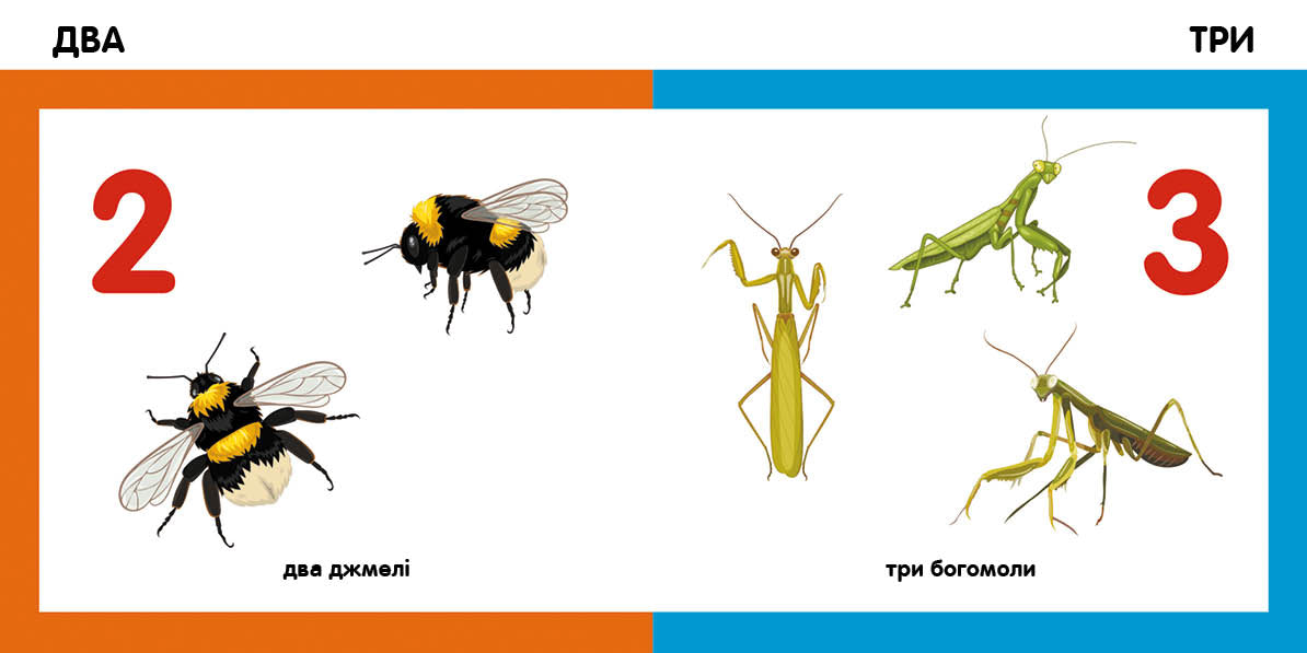 Книга Смарт-книги : Лічимо комах (у)Трофимова