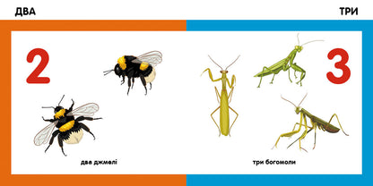 Книга Смарт-книги : Лічимо комах (у)Трофимова