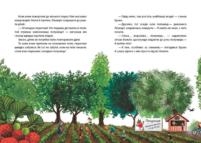 Книга Рік на Бузиновій вулиці : Літо на Бузиновій вулиці (у)Мартіна Баумбах