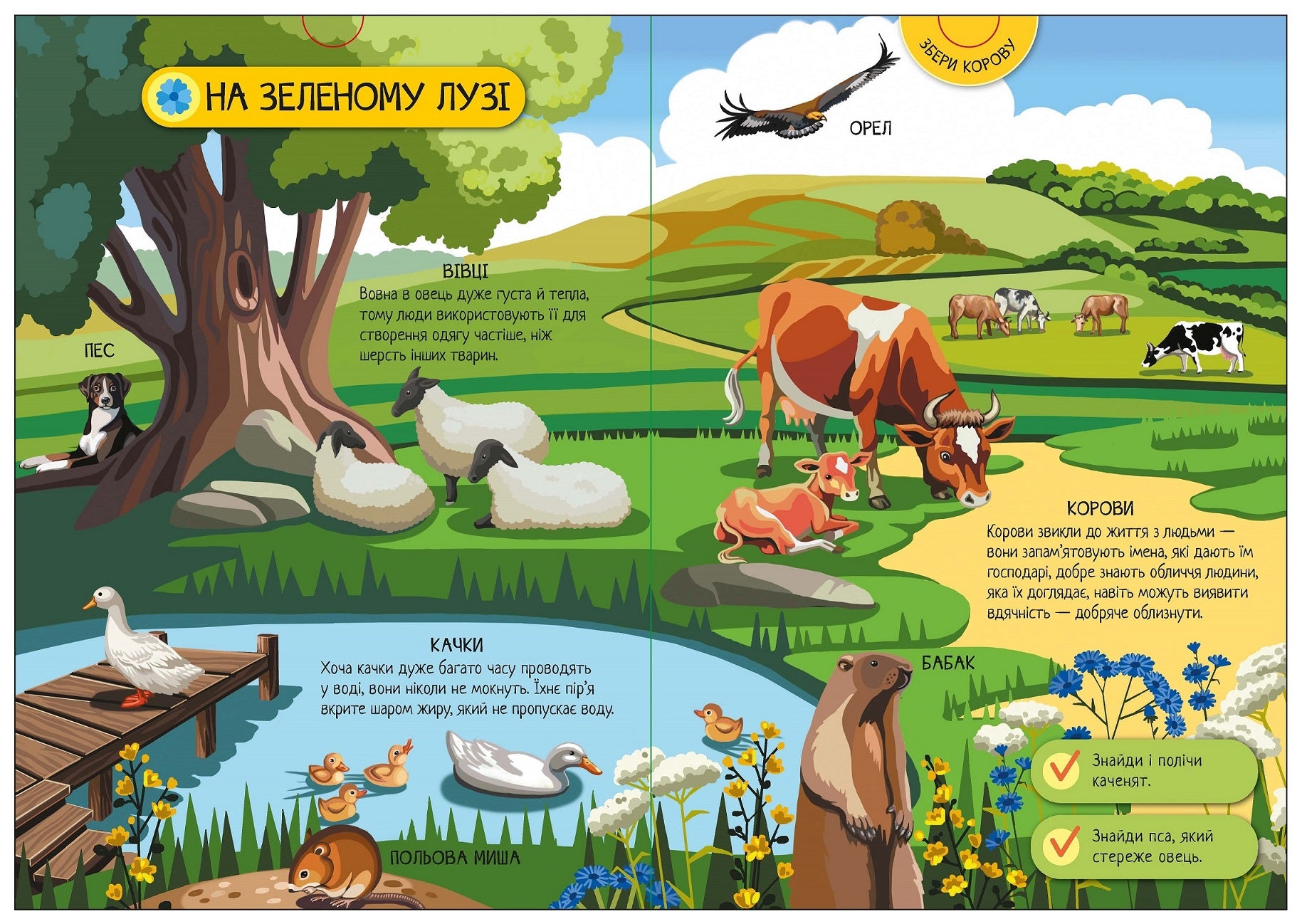 Книга Енциклопедія-конструктор : Свійські тварини (у)Анастасія Толмачова