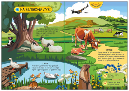 Книга Енциклопедія-конструктор : Свійські тварини (у)Анастасія Толмачова