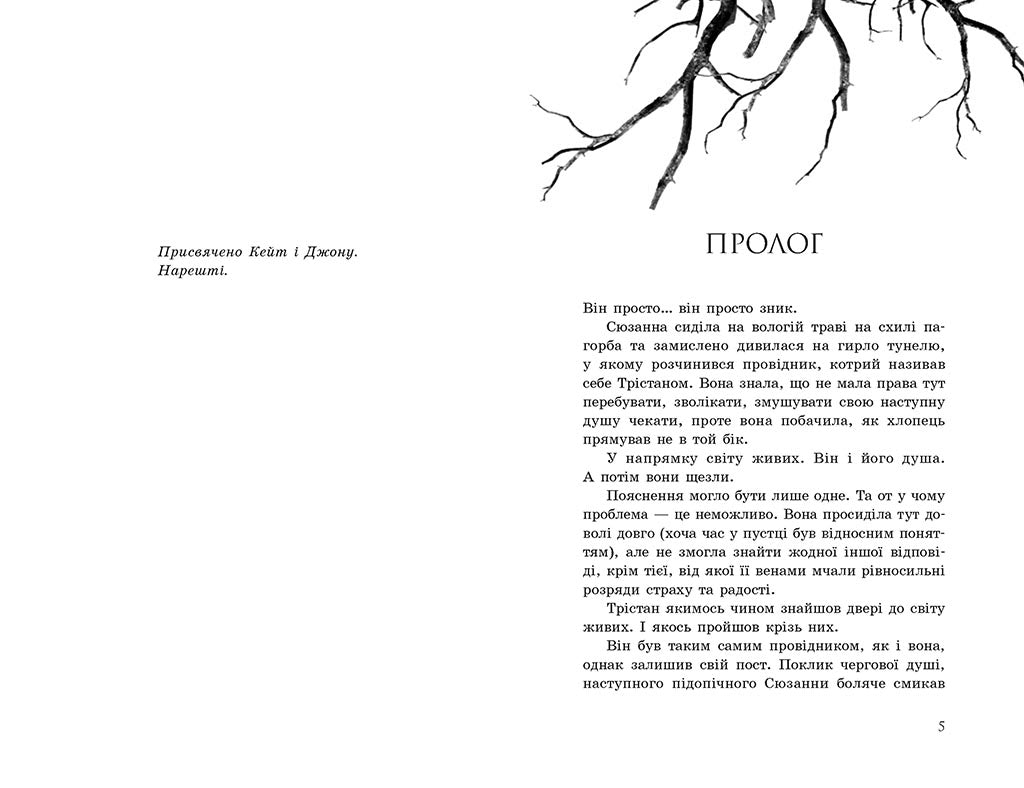 Книга Провідник : Порушники. Книга 2 (у)Клер Мак-Фолл