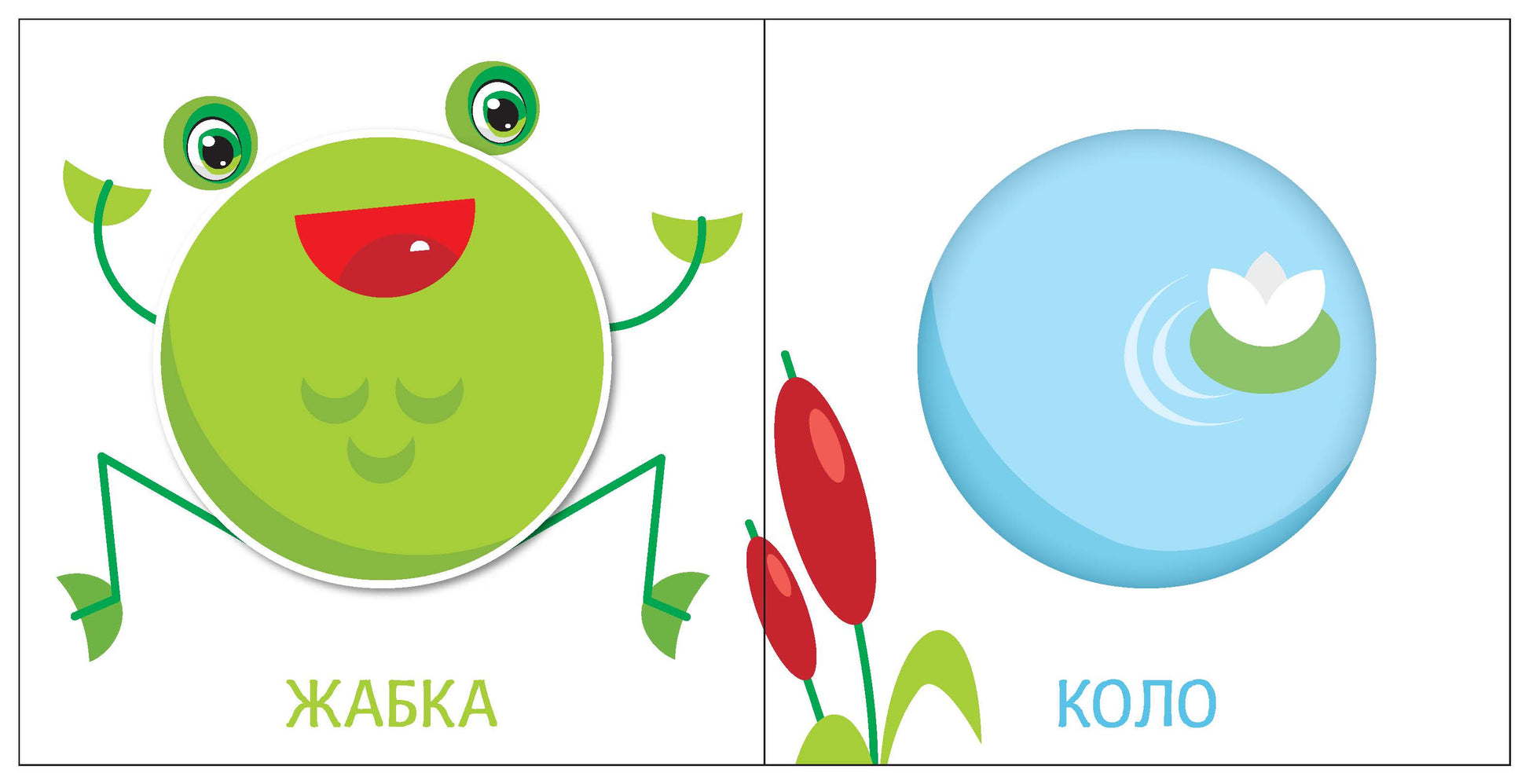 Книга Яскравий світ : Форми (у)МАГ