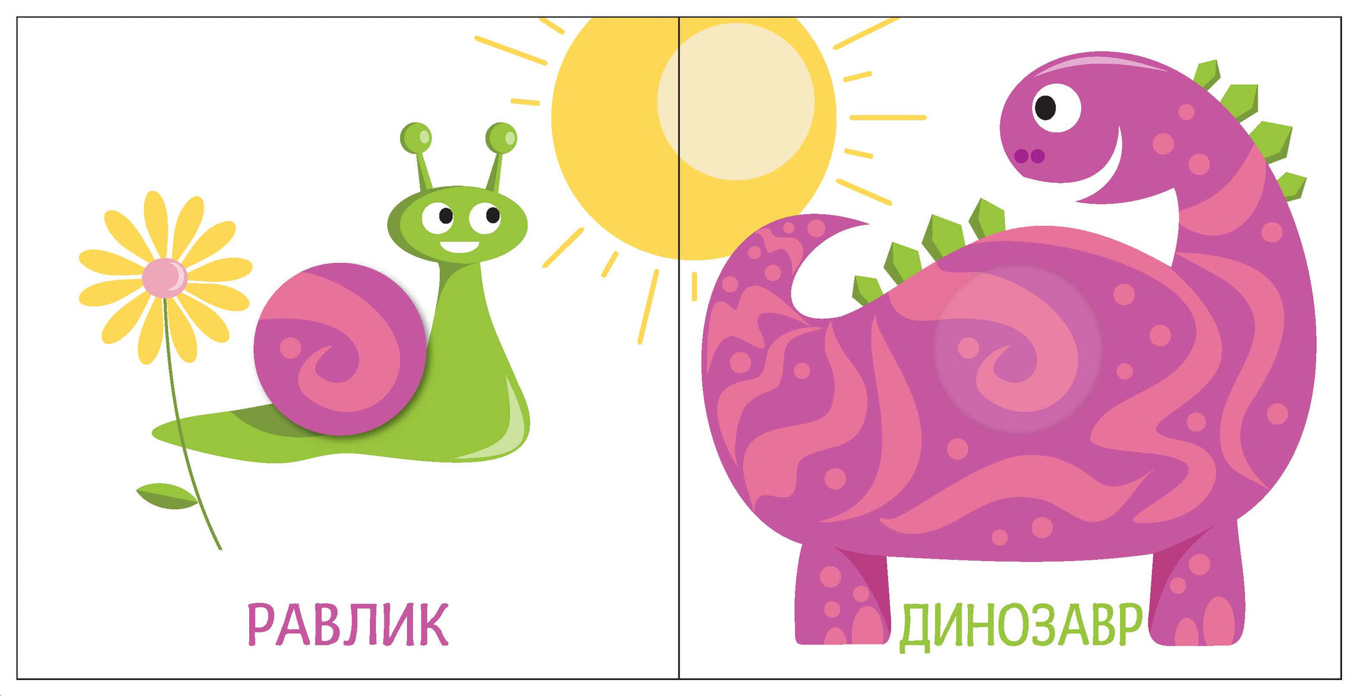 Книга Яскравий світ : Розміри (у)МАГ