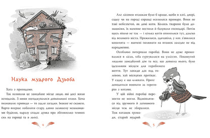 Книга Детективи звідусіль : Захмарний детектив. Горобці проти Опудала (у)Андрій Кокотюха