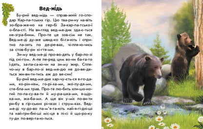Книга Читаю про Україну : Тварини гір (у)Каспарова Юлія Вадимівна