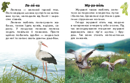 Книга Читаю про Україну : Тварини степів (у)Каспарова Юлія Вадимівна