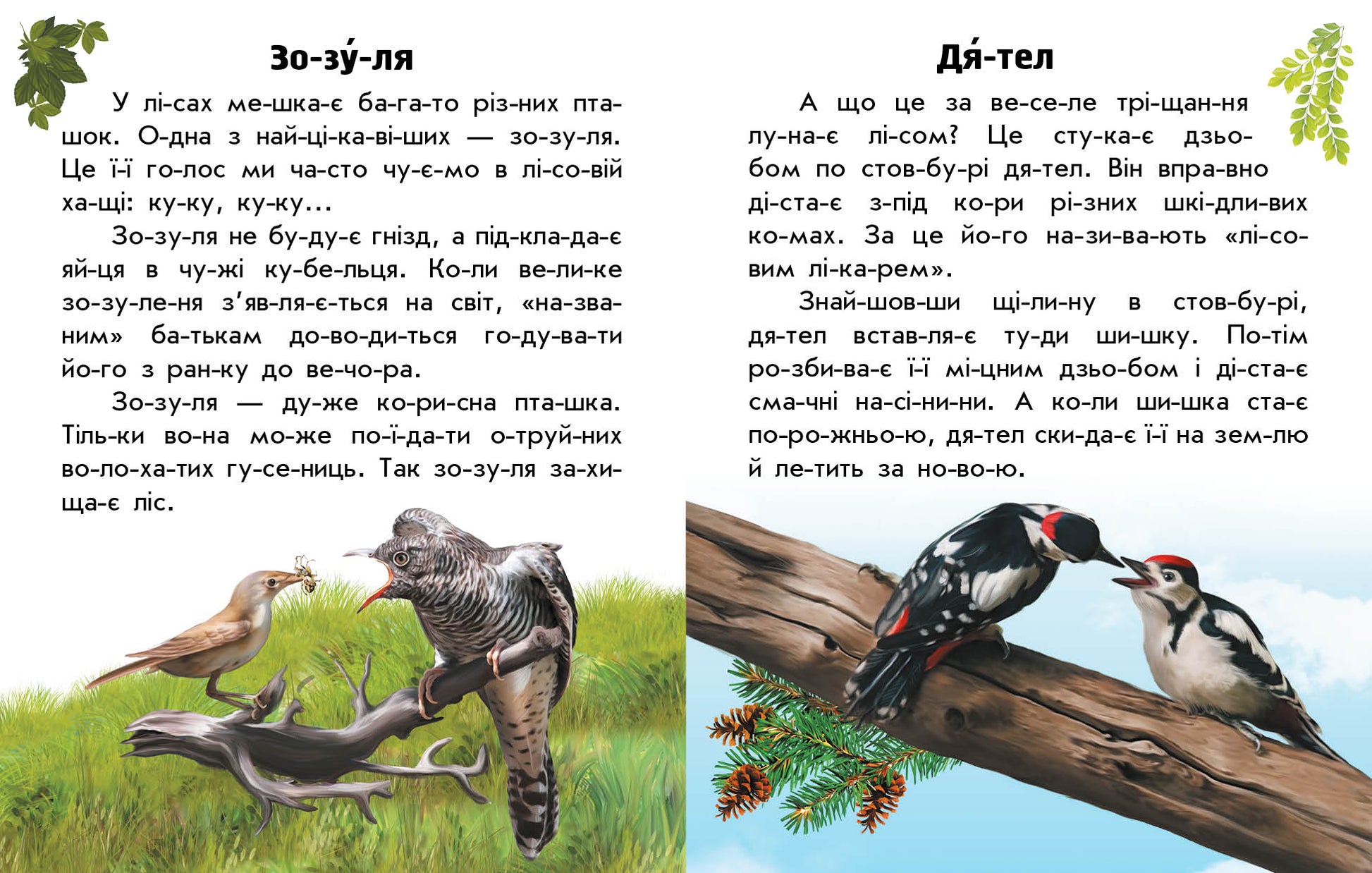 Книга Читаю про Україну : Тварини лісів (у)Каспарова Юлія Вадимівна
